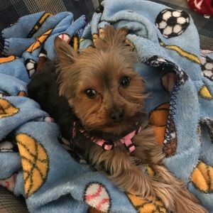 Meet your Posher, Travis